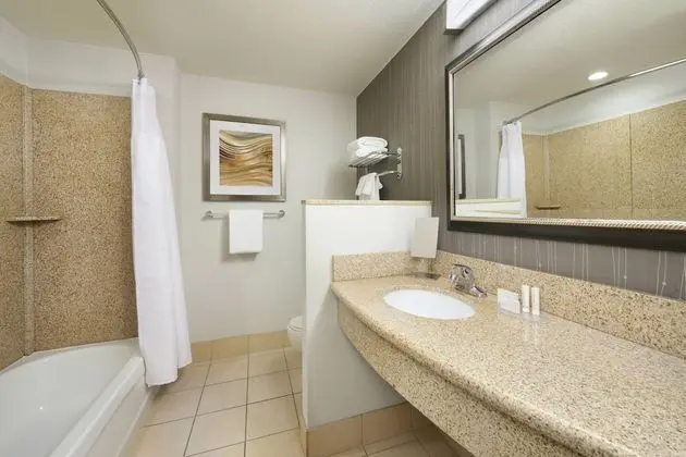 Oda, 1 En Büyük (King) Boy Yatak ve Çekyat (Mobility Accessible, Tub)