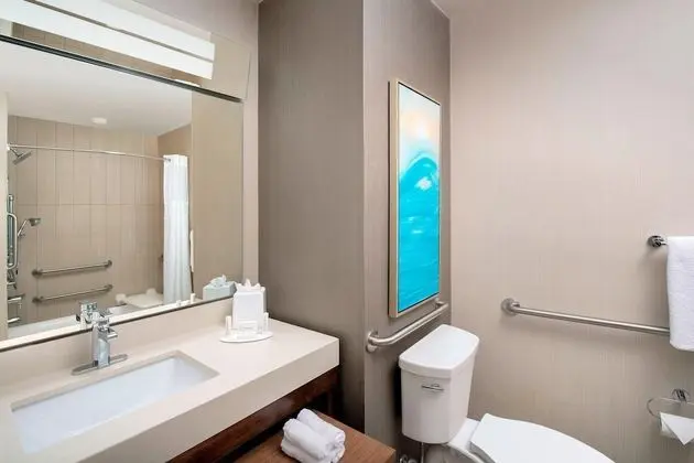 Oda, 1 En Büyük (King) Boy Yatak ve Çekyat (Mobility/Hearing Accessible, Tub)