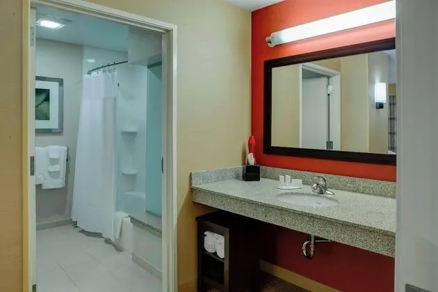 Oda, 1 En Büyük (King) Boy Yatak ve Çekyat (Mobility Accessible, Roll-In Shower)