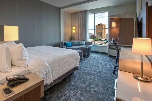 Oda, 1 En Büyük (King) Boy Yatak ve Çekyat (Mobility Accessible, Roll-In Shower)
