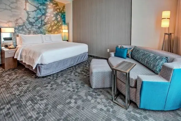 Oda, 1 En Büyük (King) Boy Yatak ve Çekyat (Mobility Accessible, Roll-In Shower)