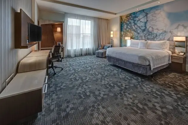 Oda, 1 En Büyük (King) Boy Yatak ve Çekyat (Mobility Accessible, Roll-In Shower)