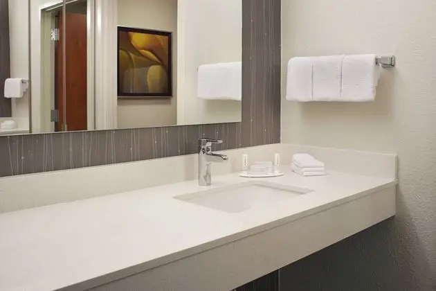 Süit, 1 En Büyük (King) Boy Yatak ve Çekyat (Mobility Accessible, Tub)