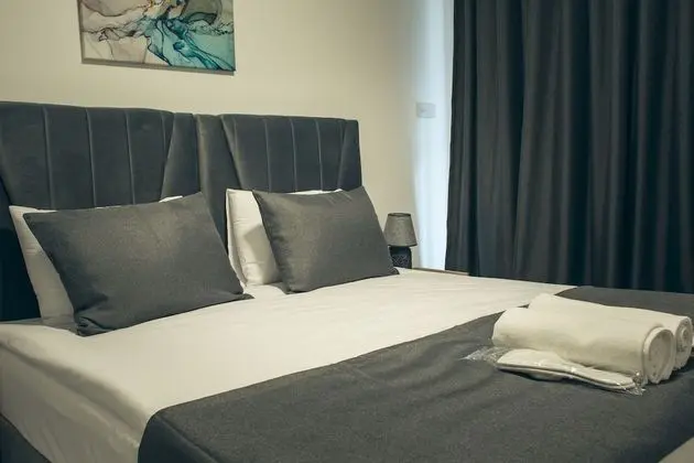 Deluxe Oda, 1 Yatak Odası, Şehir Manzaralı