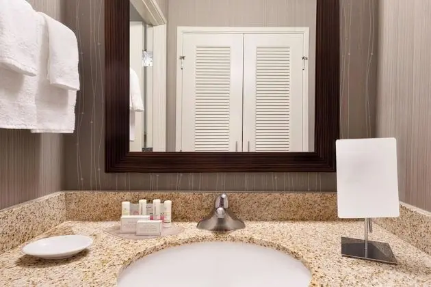 Oda, 1 En Büyük (King) Boy Yatak ve Çekyat, Engellilere Uygun (Mobility & Hearing w/ Roll-in Shower)