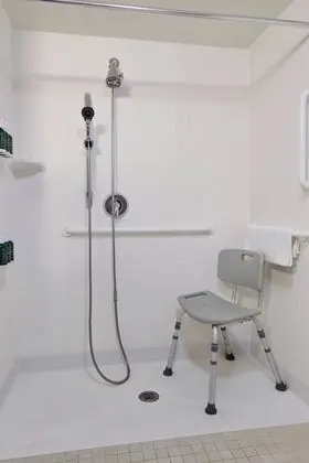 Oda, 1 En Büyük (King) Boy Yatak ve Çekyat (Mobility/Hearing Accessible, Tub)