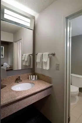 Oda, Birden Çok Yatak, Engellilere Uygun, Balkon