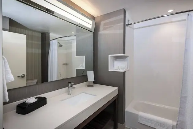 Oda, 1 En Büyük (King) Boy Yatak ve Çekyat, Engellilere Uygun (Mobility & Hearing w/ Tub)