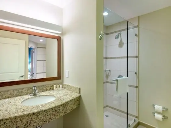 Superior Oda, 1 En Büyük (King) Boy Yatak, Sigara İçilmez, Balkon