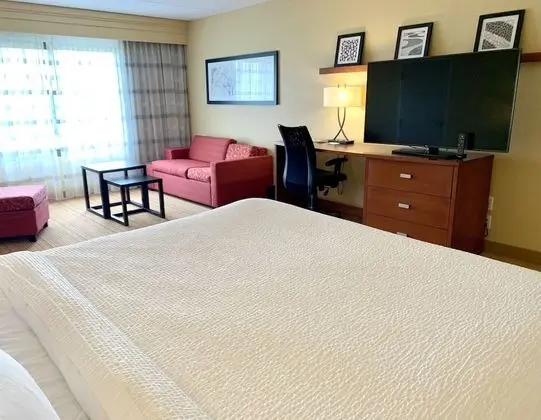Oda, 1 En Büyük (King) Boy Yatak ve Çekyat (Mobility/Hearing Accessible, Tub)