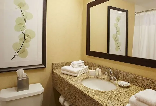 Oda, 1 En Büyük (King) Boy Yatak ve Çekyat (Mobility/Hearing Accessible, Tub)