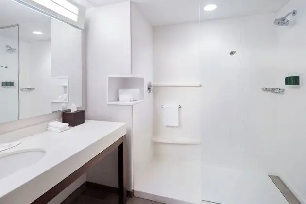 Süit, 1 Yatak Odası, Sigara İçilmez