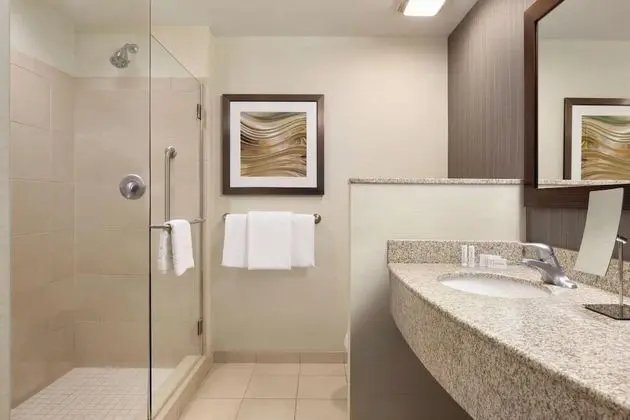 Oda, 1 En Büyük (King) Boy Yatak ve Çekyat (Mobility Accessible, Roll-In Shower)
