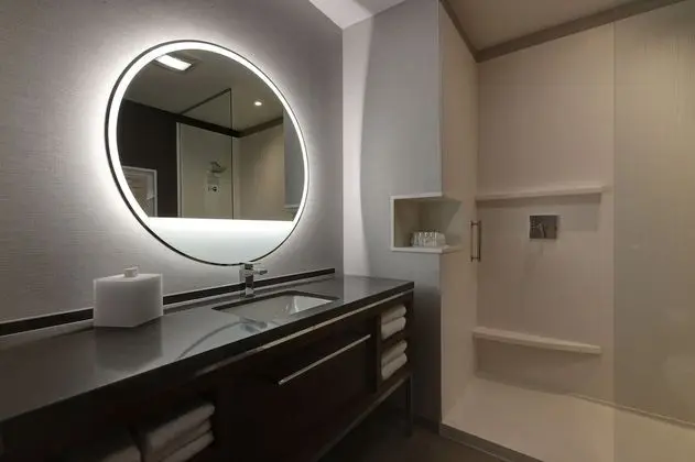 Oda, 1 En Büyük (King) Boy Yatak (Mobility Accessible, Roll-In Shower)