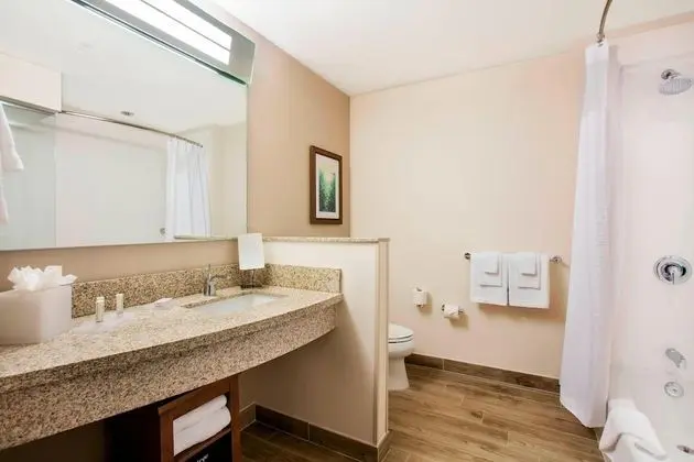 Oda, 1 En Büyük (King) Boy Yatak, Sigara İçilmez, Balkon