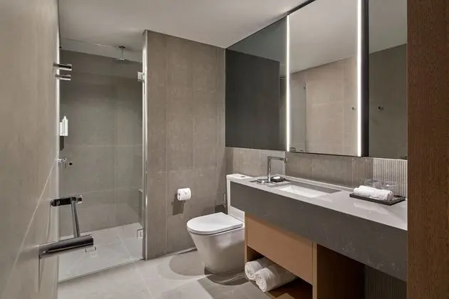Premium Oda, 1 En Büyük (King) Boy Yatak, Sigara İçilmez, Şehir Manzaralı