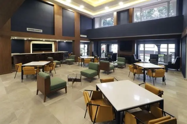 Süit, 1 En Büyük (King) Boy Yatak ve Çekyat