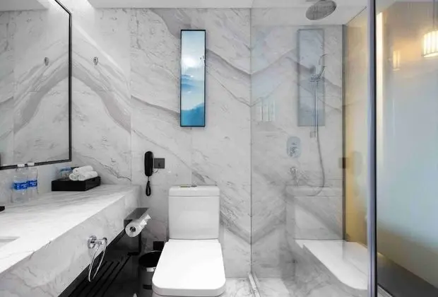 Deluxe Oda, 2 Tek Kişilik Yatak, Şehir Manzaralı