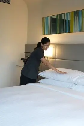 Executive Oda, 1 Çift Kişilik Yatak, Sigara İçilmez (Hill View)