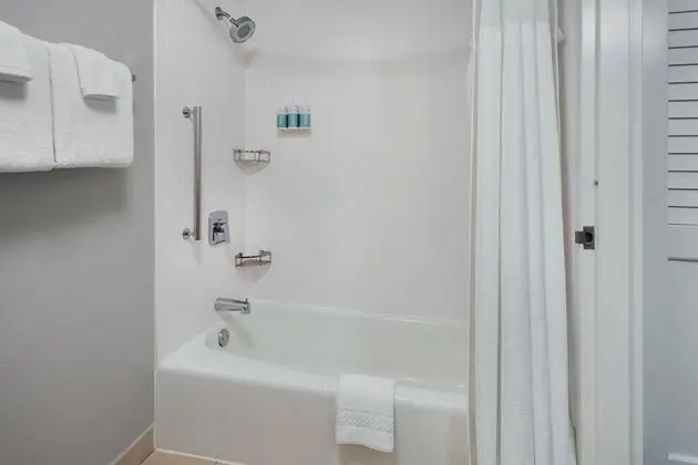 Oda, 1 En Büyük (King) Boy Yatak ve Çekyat (Mobility/Hearing Accessible, Tub)
