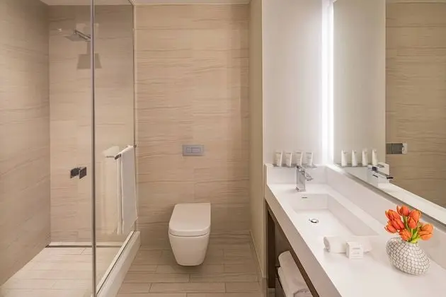 Oda, 1 En Büyük (King) Boy Yatak, Sigara İçilmez (High Floor)