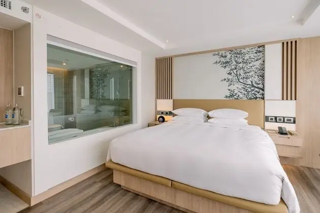 Deluxe Oda, 1 En Büyük (King) Boy Yatak, Sigara İçilmez, Şehir Manzaralı