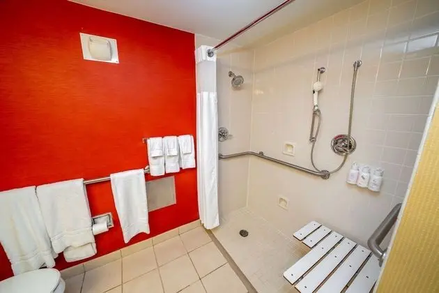 Oda, 1 En Büyük (King) Boy Yatak ve Çekyat, Engellilere Uygun (Mobility/Hearing Roll in Shower)
