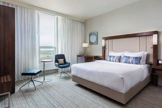 Deluxe Oda, 1 En Büyük (King) Boy Yatak, Sigara İçilmez