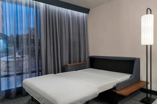 Premium Oda, 1 En Büyük (King) Boy Yatak ve Çekyat, Sigara İçilmez, Şömine