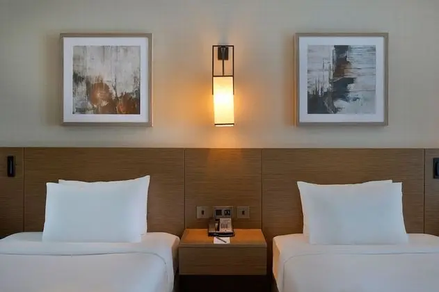 Deluxe Oda, 2 Tek Kişilik Yatak, Sigara İçilmez, Şehir Manzaralı