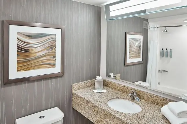 Oda, 1 En Büyük (King) Boy Yatak ve Çekyat (Mobility Accessible, Tub)