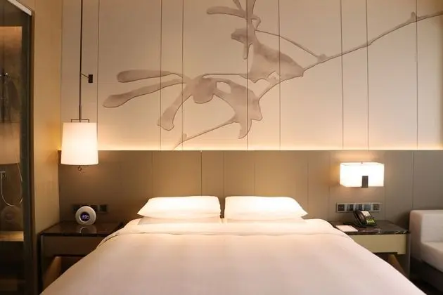 Deluxe Oda, 1 En Büyük (King) Boy Yatak