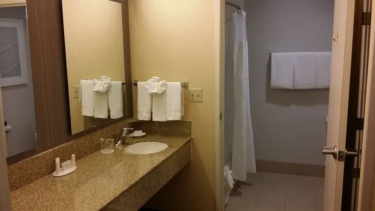 Oda, 1 En Büyük (King) Boy Yatak ve Çekyat (Mobility Accessible, Roll-In Shower)