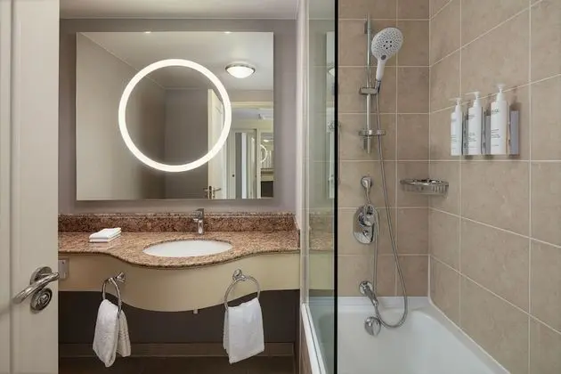 Deluxe Oda, 1 En Büyük (King) Boy Yatak, Sigara İçilmez