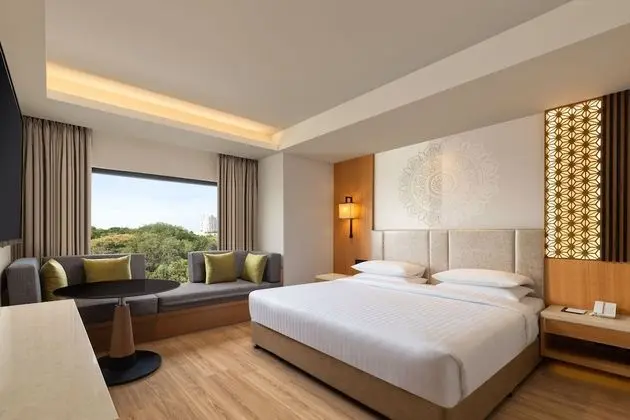 Premium Oda, 1 En Büyük (King) Boy Yatak, Sigara İçilmez, Şehir Manzaralı