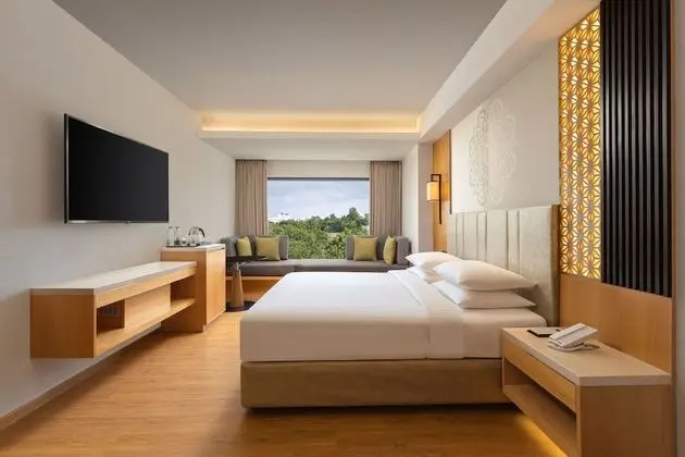 Premium Oda, 1 En Büyük (King) Boy Yatak, Sigara İçilmez, Şehir Manzaralı