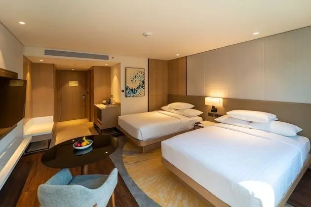 Deluxe Oda, 2 Tek Kişilik Yatak, Sigara İçilmez, Şehir Manzaralı