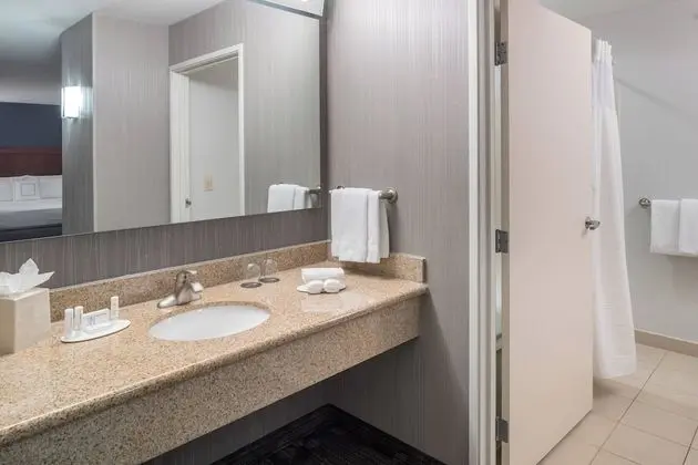 Oda, 1 En Büyük (King) Boy Yatak ve Çekyat (Mobility/Hearing Accessible, Tub)