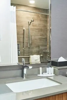 Oda, 1 En Büyük (King) Boy Yatak ve Çekyat (Mobility/Hearing Accessible, Tub)