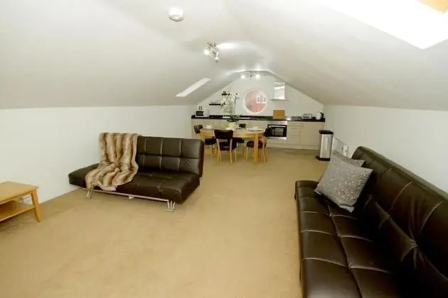 Superior Apart Daire, Özel Banyo (Large One Bedroom)