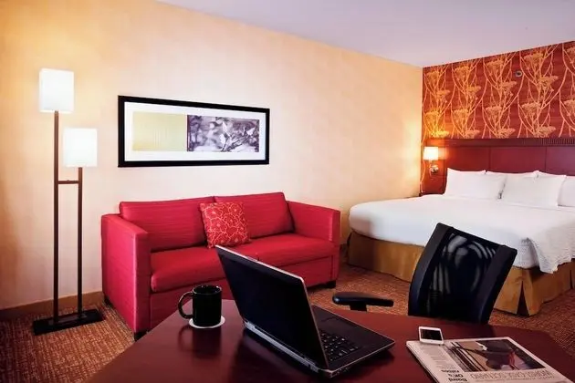 Oda, 1 En Büyük (King) Boy Yatak ve Çekyat (Mobility/Hearing Accessible, Tub)