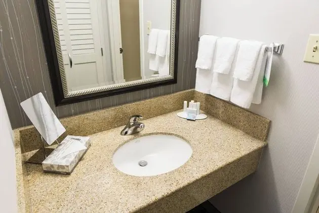 Oda, 1 En Büyük (King) Boy Yatak ve Çekyat (Mobility/Hearing Accessible, Tub)