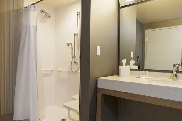 Süit, 1 Yatak Odası, Balkon (Mobility/Hearing Access, Roll-In Shwr)