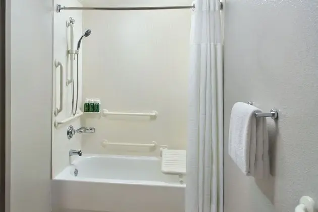 Oda, 2 Büyük (Queen) Boy Yatak (Mobility/Hearing Accessible, Tub)