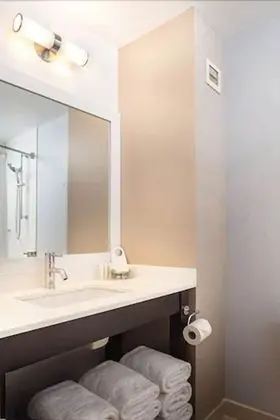 Executive Tek Büyük Yataklı Oda, 1 En Büyük (King) Boy Yatak