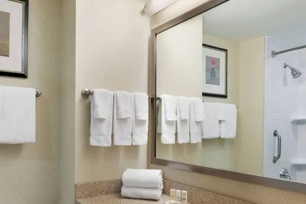 Executive Süit, 1 Yatak Odası, Balkon