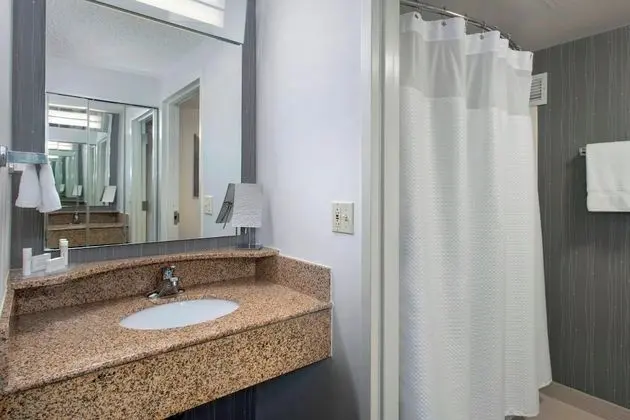 Oda, 1 En Büyük (King) Boy Yatak ve Çekyat (Mobility Accessible, Tub)