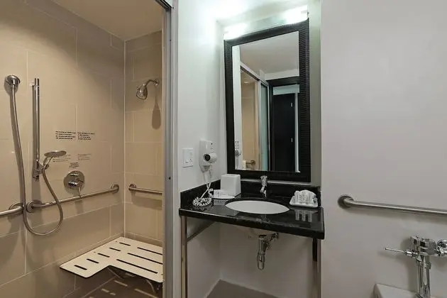 Standard Tek Kişilik Oda, 1 En Büyük (King) Boy Yatak, Şehir Manzaralı