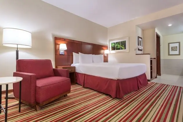 Executive Oda, 1 En Büyük (King) Boy Yatak ve Çekyat, Şehir Manzaralı