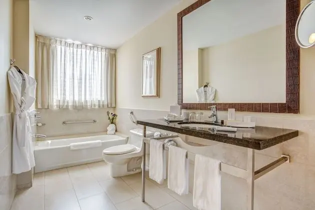 Executive Oda, 1 En Büyük (King) Boy Yatak ve Çekyat, Şehir Manzaralı